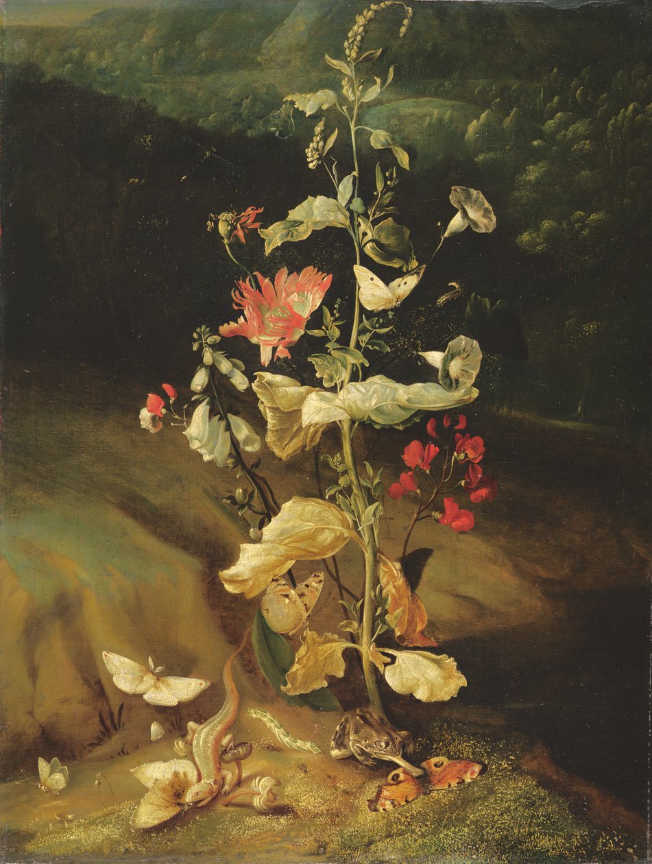 Stilleben med blomster av Otto Marseus  van Schrieck