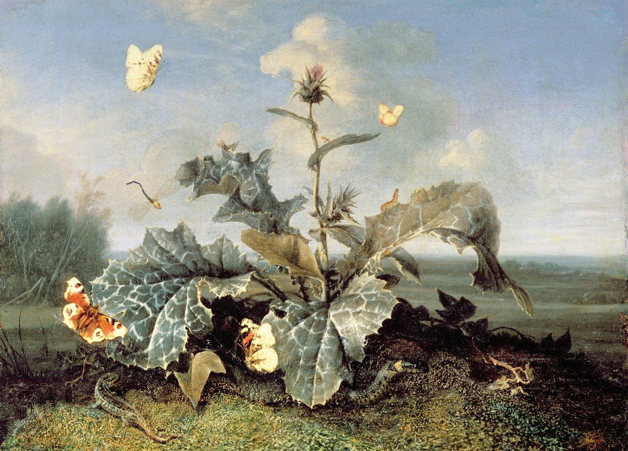 Burdock Bush av Otto Marseus  van Schrieck