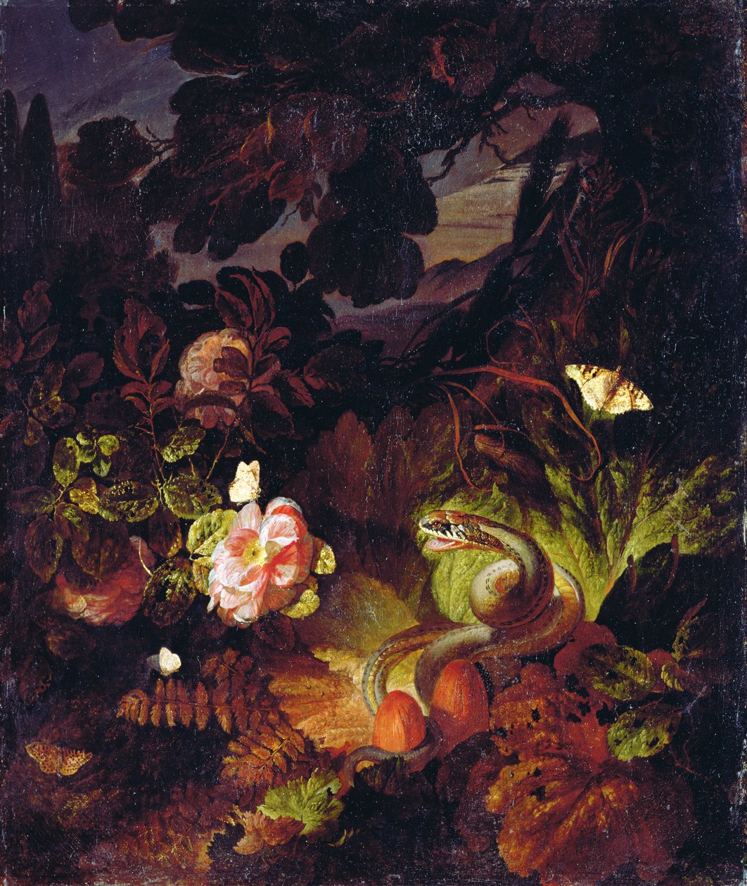 Blomster, slange og sommerfugler av Otto Marseus  van Schrieck