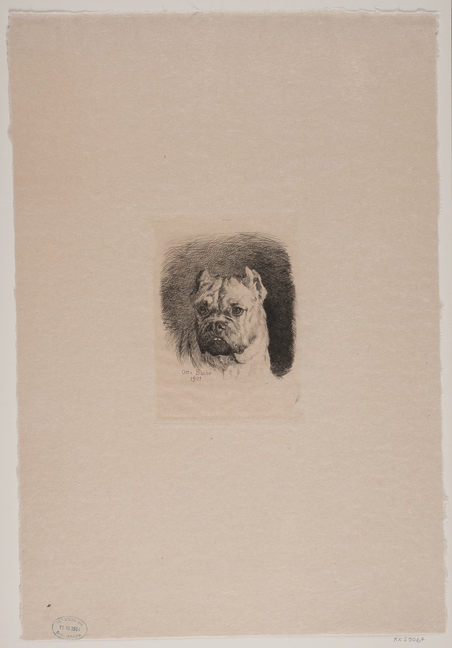 Et hundehode av Otto Bache