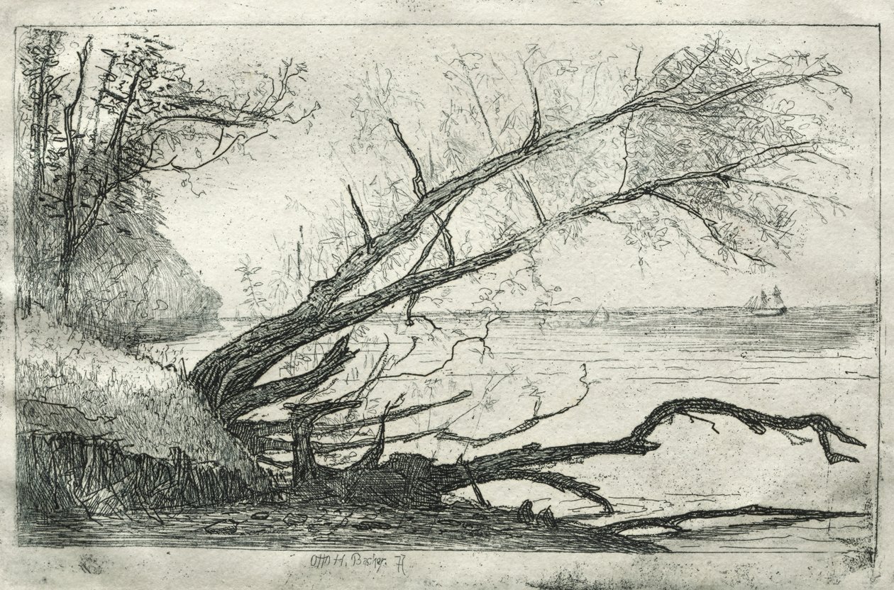 Old Sycamore, 1877. av Otto H. Bacher