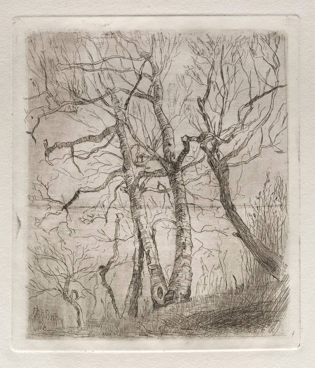 Trær, 1878. av Otto H. Bacher