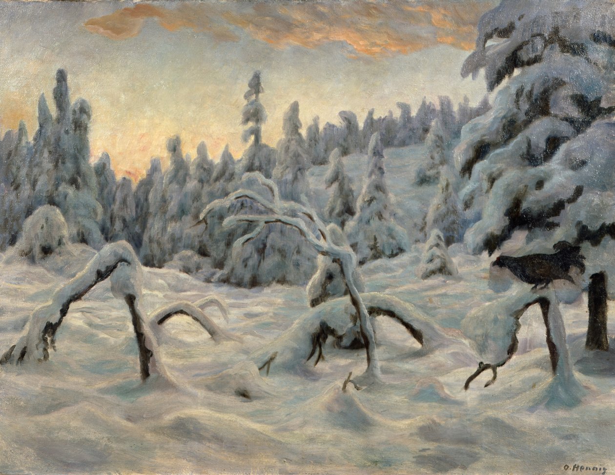 Granskog etter snøfall av Otto Henning