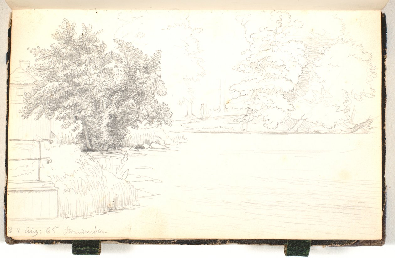 Skog ved en innsjø av P.C. Skovgaard