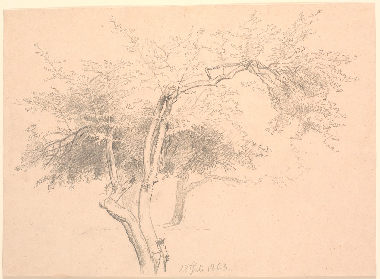 Studie av tretopper. av P.C. Skovgaard