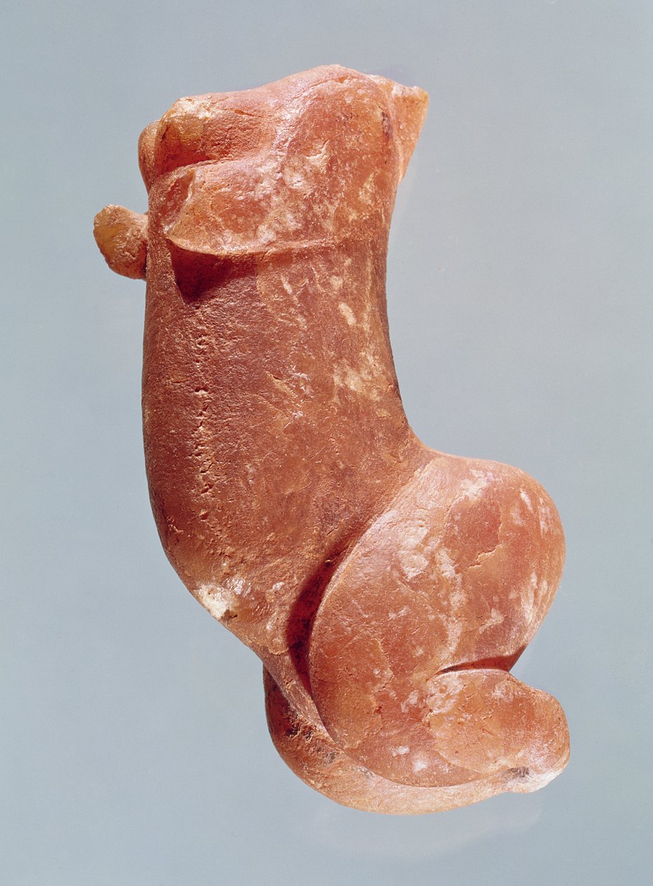Utskjæring av en ung jente, kjent som Venus of Sireuil, 35000-8000 f.Kr. av Paleolithic