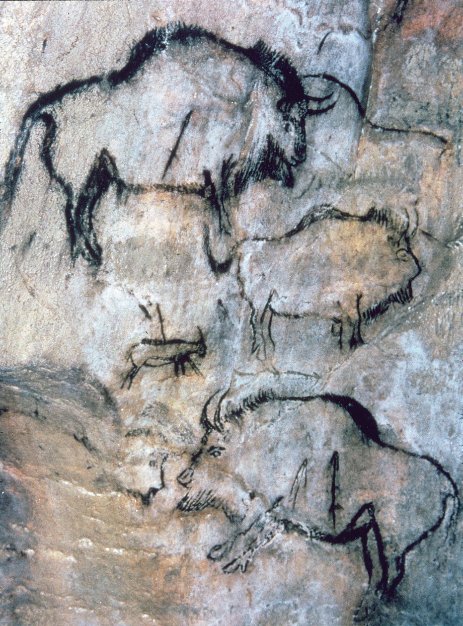 Skadet bison, Magdalenian (hulemaleri) av Paleolithic Paleolithic