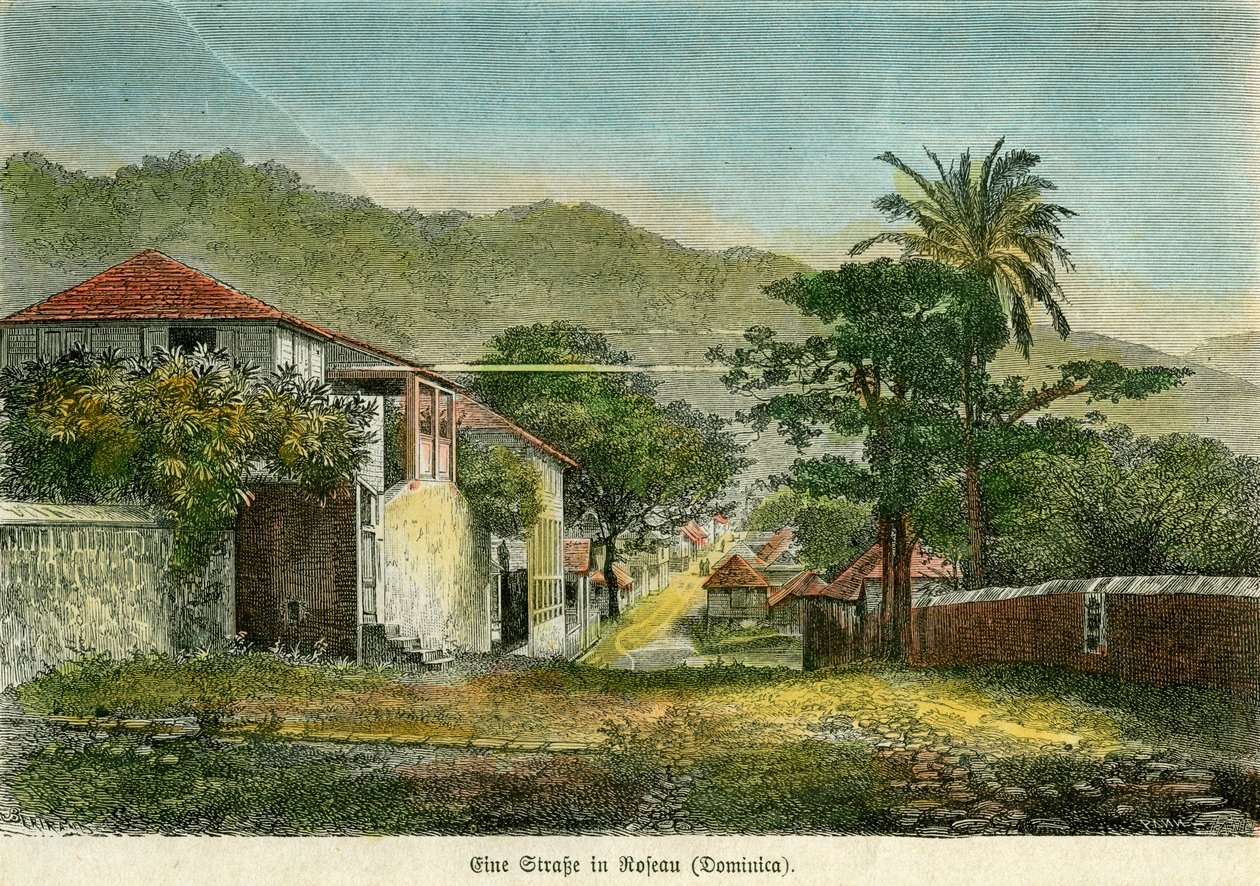 En gate i Roseau, Dominica, c1880. av Pann