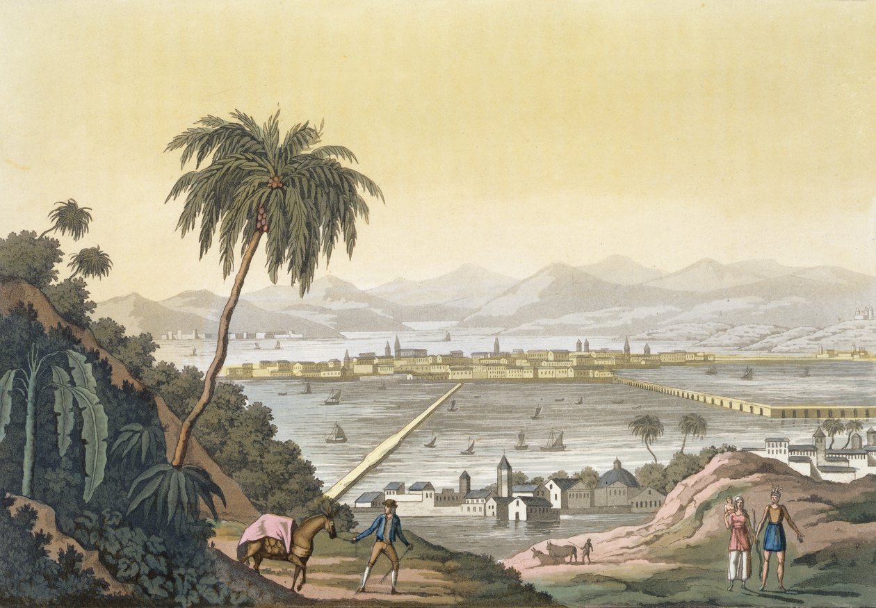 Utsikt over Mexico City (fargegravering) av Paolo Fumagalli
