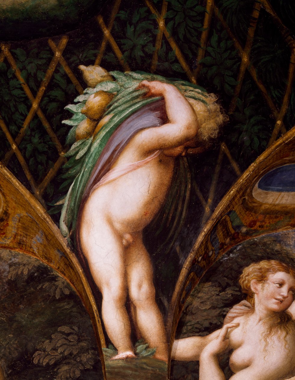 Putto, fra Myth of Diana and Actaeon av Parmigianino