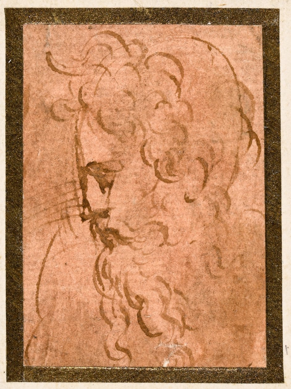 Mannlig hode av Parmigianino