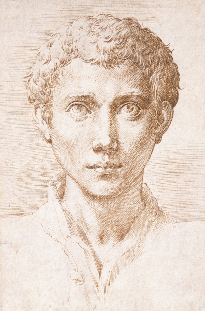 Hodet til en ung mann som ser opp, av Parmigianino
