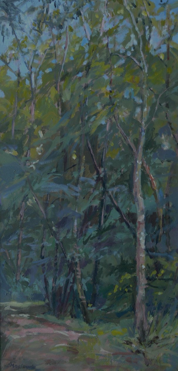 Skogssti, 2008 av Pat Maclaurin