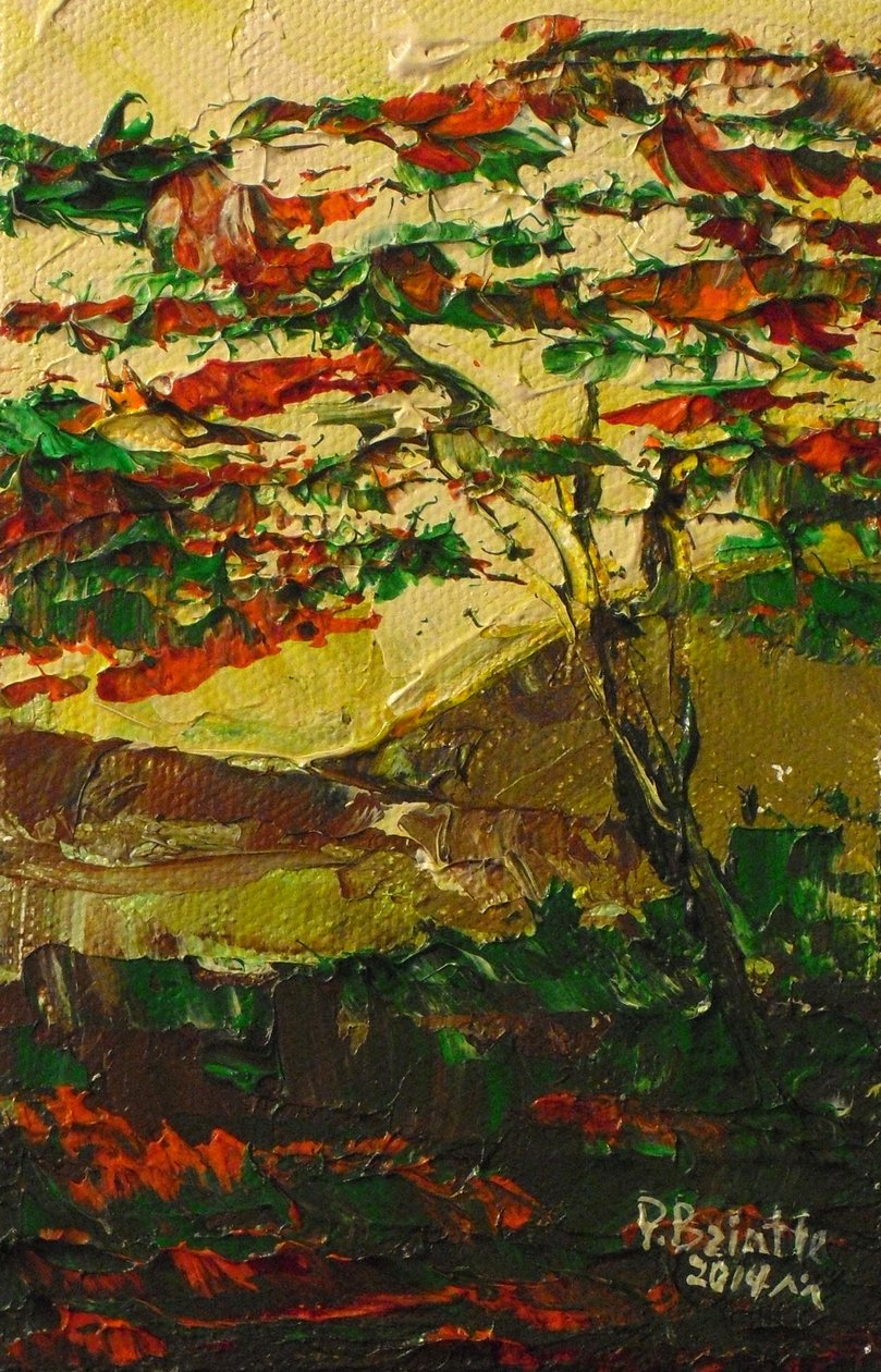 Flamboyant en fleur, 2014 (akryl på lerret) av Patricia Brintle