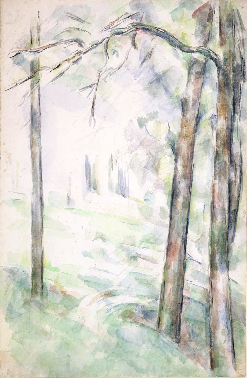 PD.6-1966r The Woods, Aix-en-Provence, ca. 1890 (wc og kritt) av Paul Cézanne