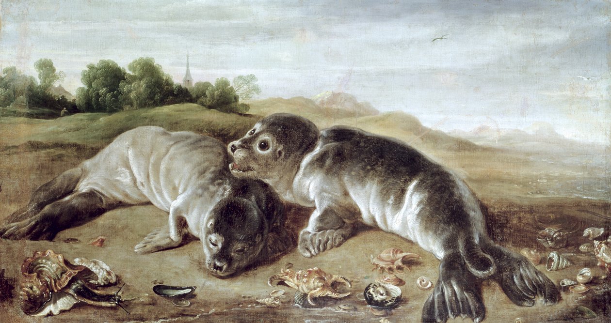 To unge seler på stranden, ca. 1650 av Paul De Vos