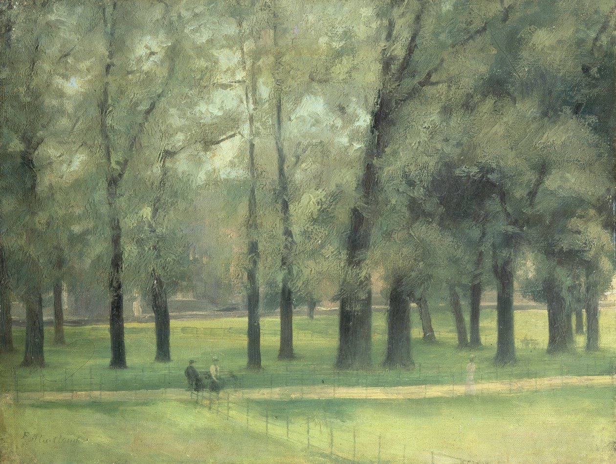 Elms nær Long Walk av Paul Fordyce Maitland