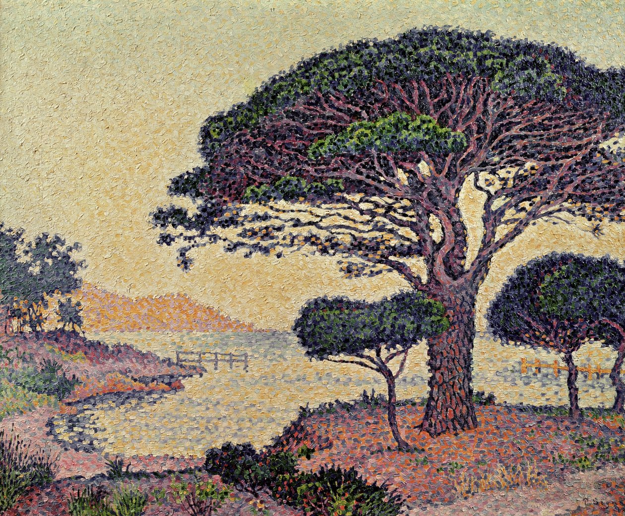 Paraply Pines at Caroubiers, 1898 av Paul Signac