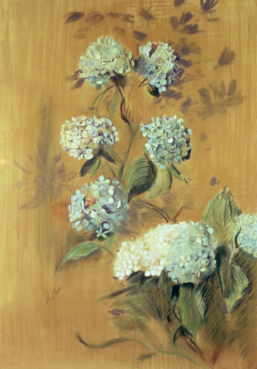 Hortensia (pastell på papir) av Paul Cesar Helleu