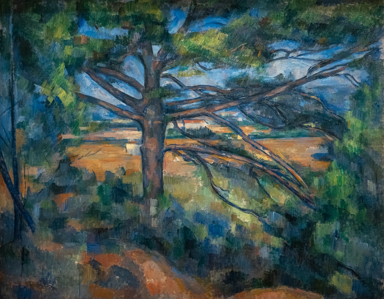 Great Pine nær Aix av Paul Cézanne