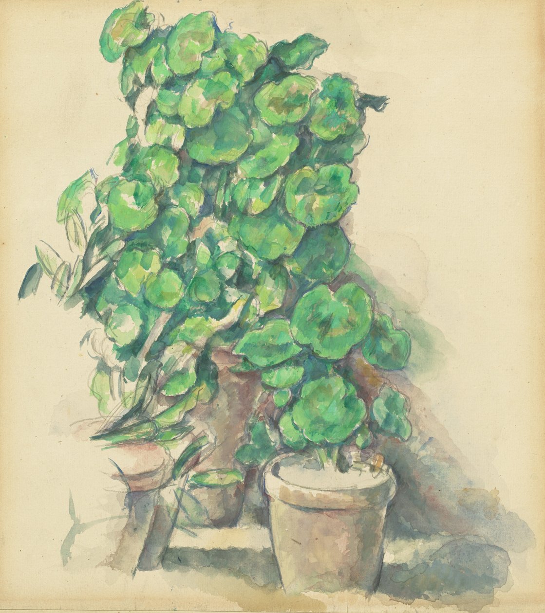 Pelargonier, 18881890. av Paul Cézanne