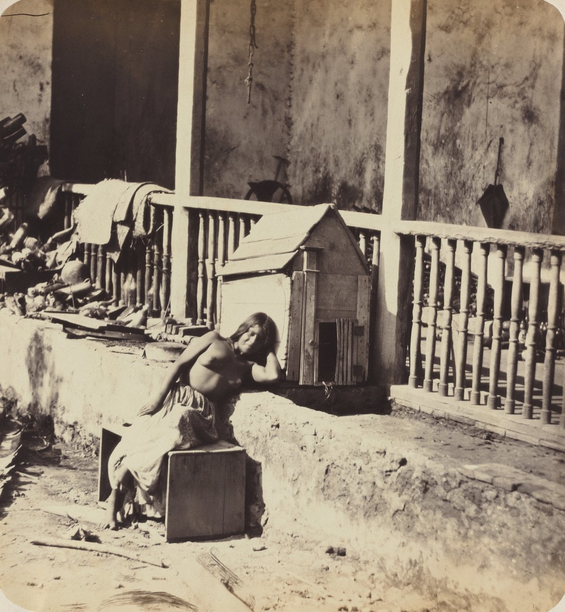 Garvel Martinique-hund, 1870-tallet. av Paul Emile Miot