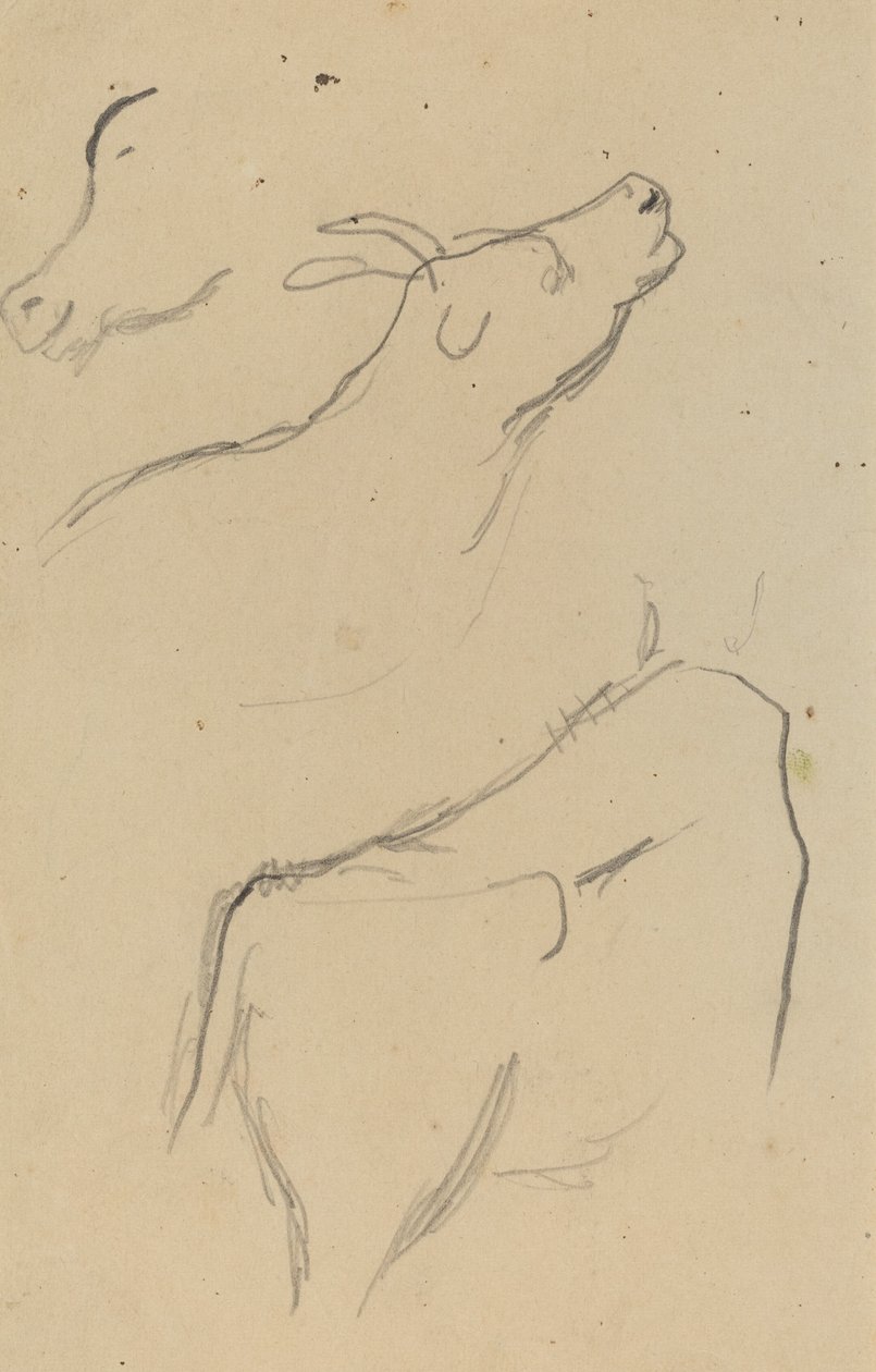 Studier av en ku [verso] av Paul Gauguin