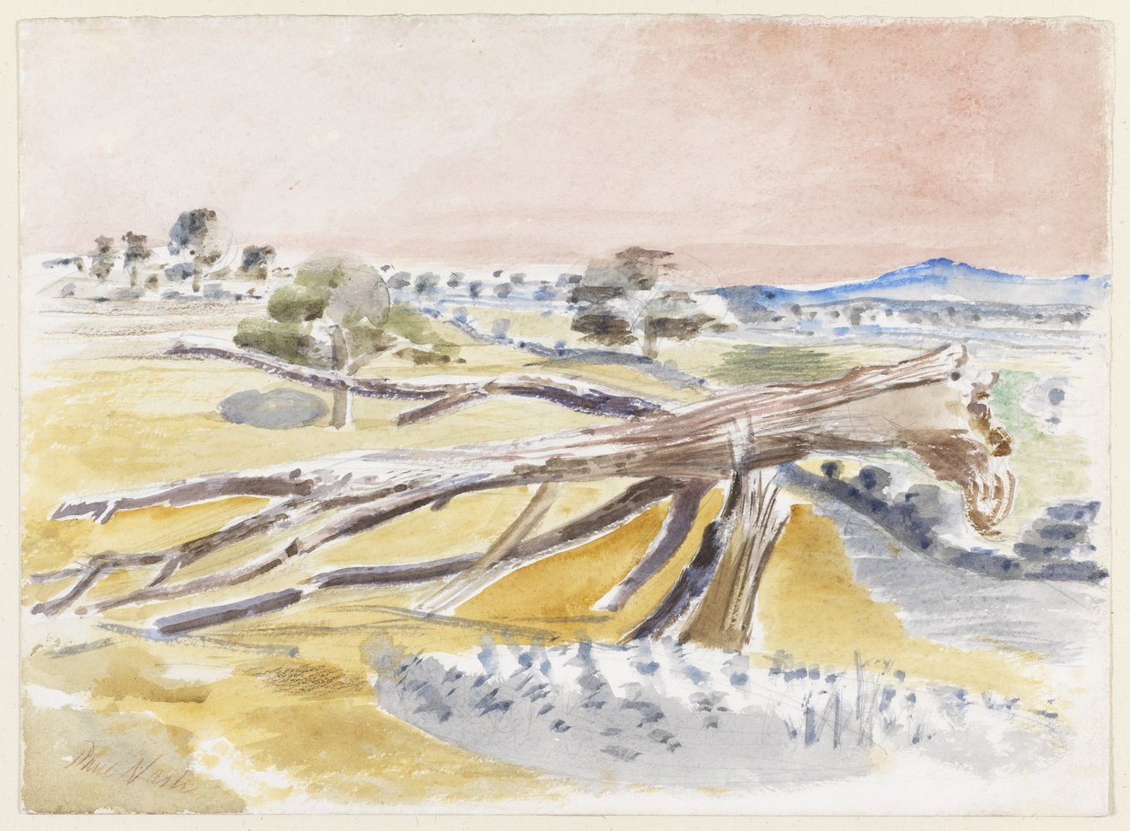 Monsterfelt, studie II av Paul Nash