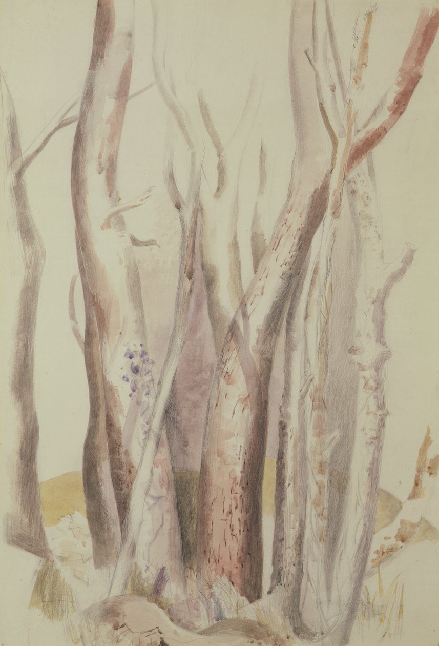 Studie av et skogslandskap av Paul Nash
