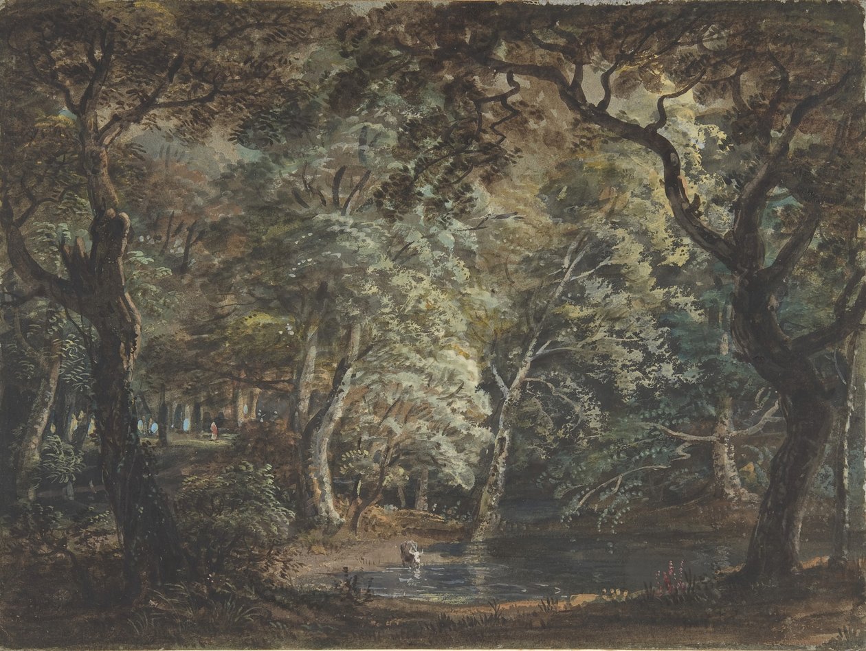 Windsor Great Park, 1790-99. av Paul Sandby