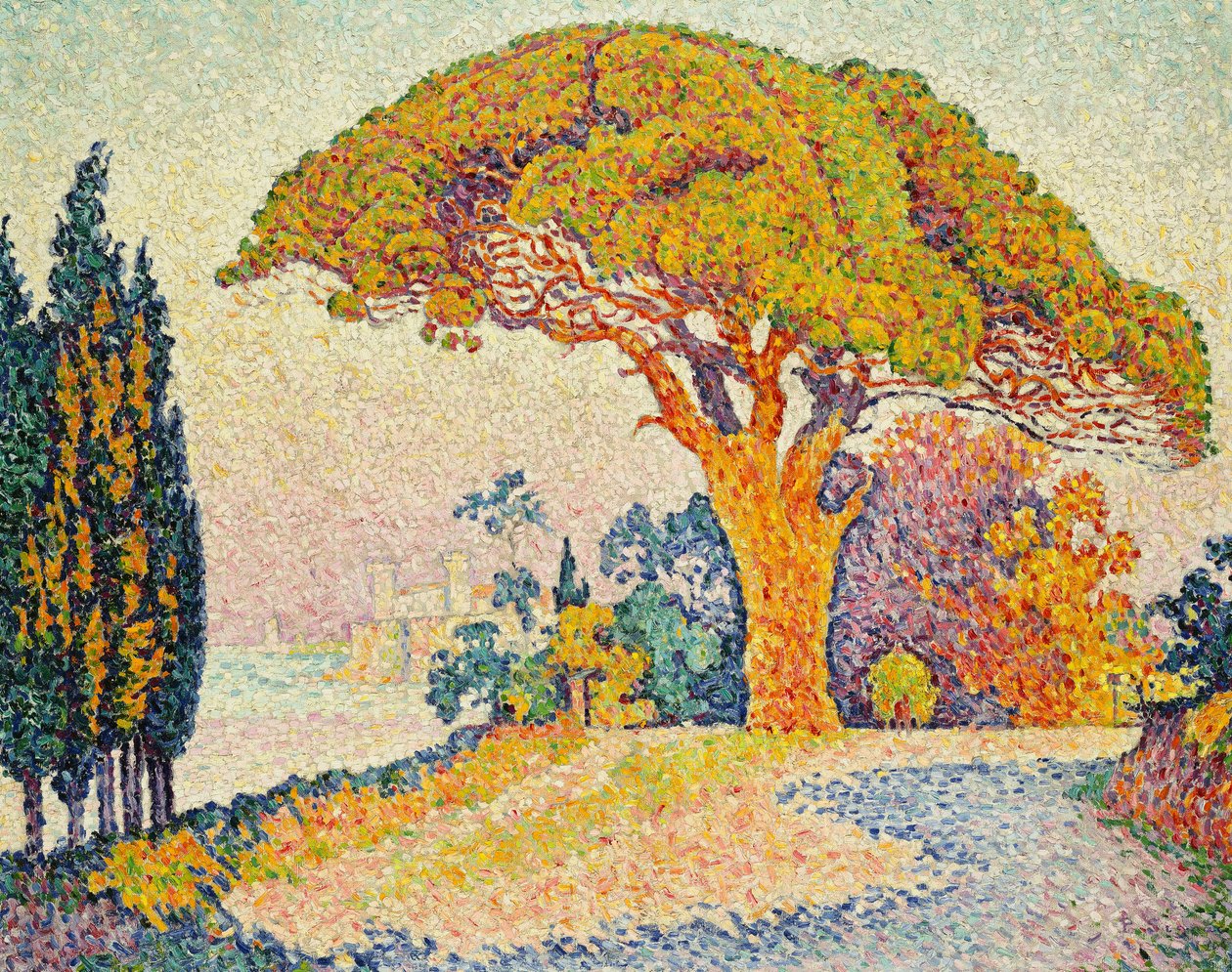 Pinetrær ved Bertaud, Saint-Tropez av Paul Signac