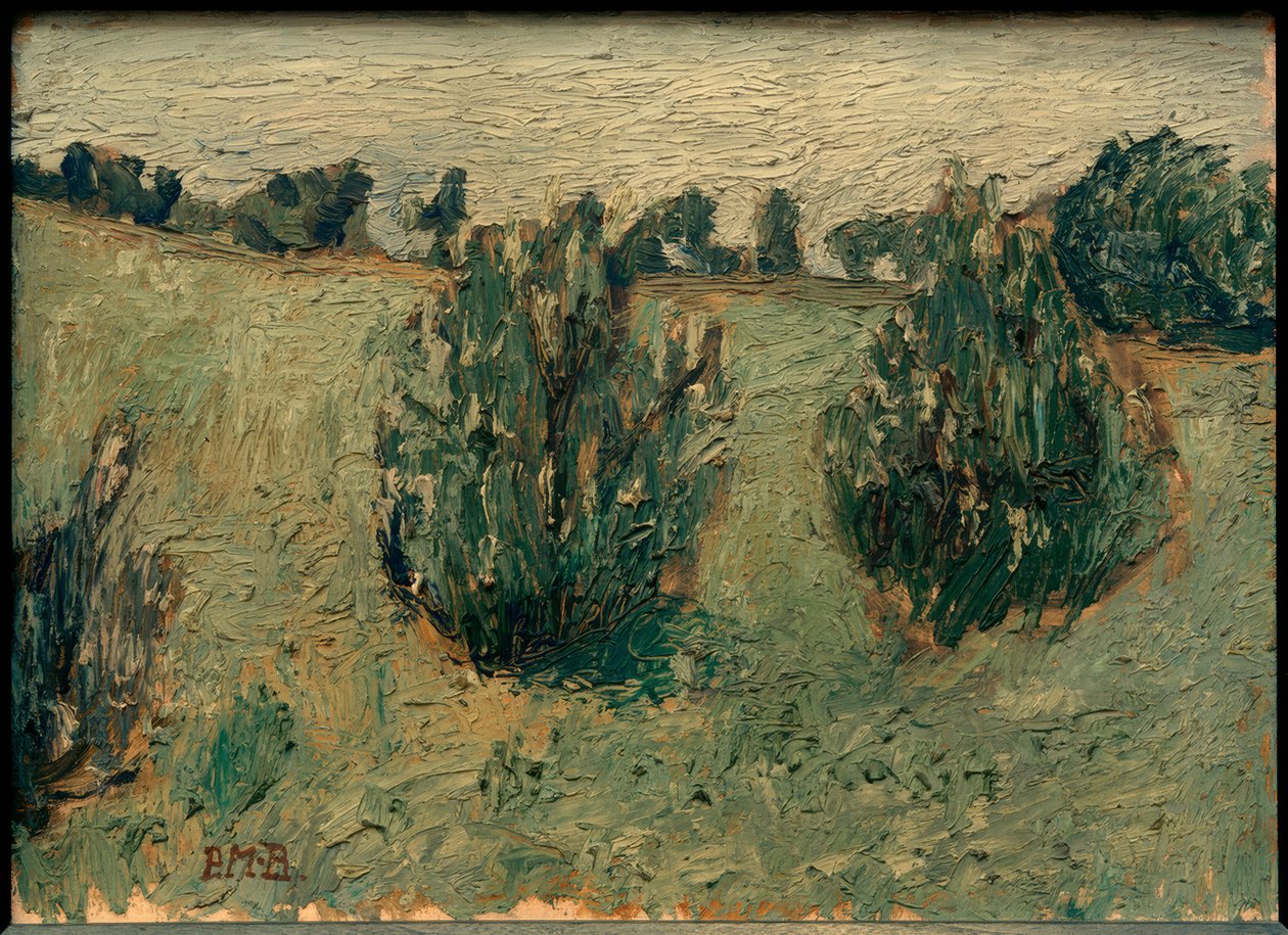 Landskap med furutrær av Paula Modersohn Becker