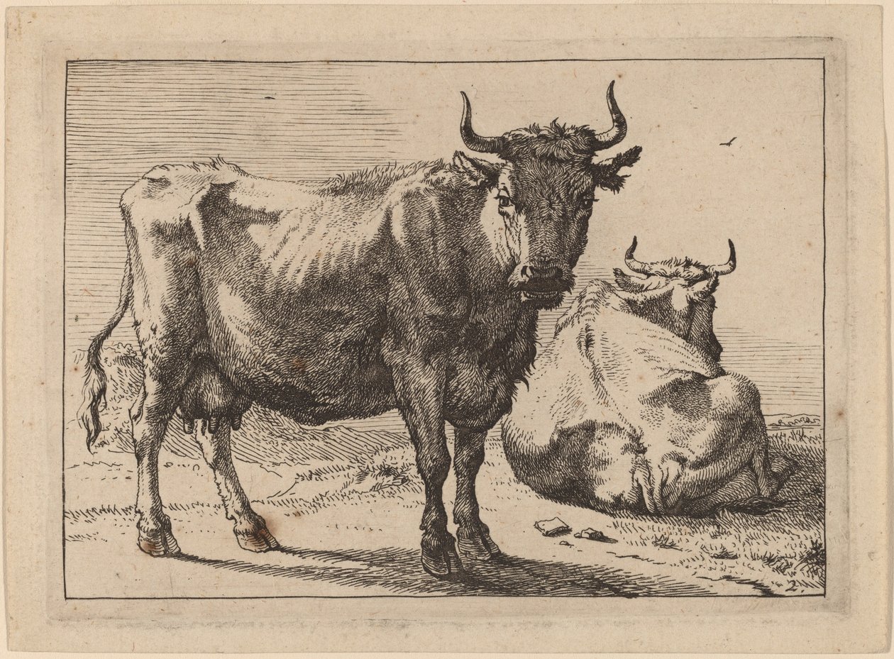 En ku som står og en annen som ligger av Paulus Potter