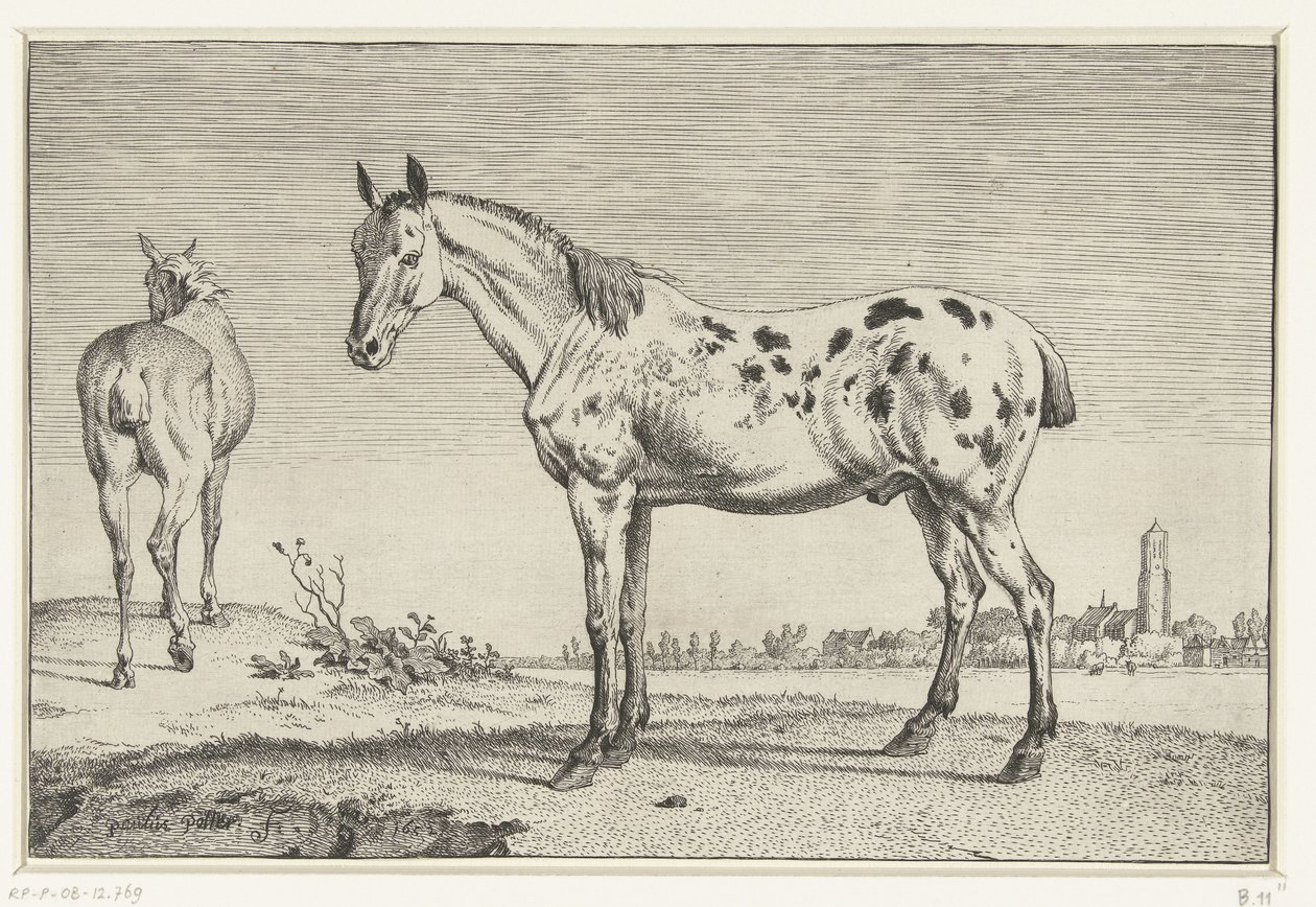 Den forankrede hesten Hester (serietittel) av Paulus Potter