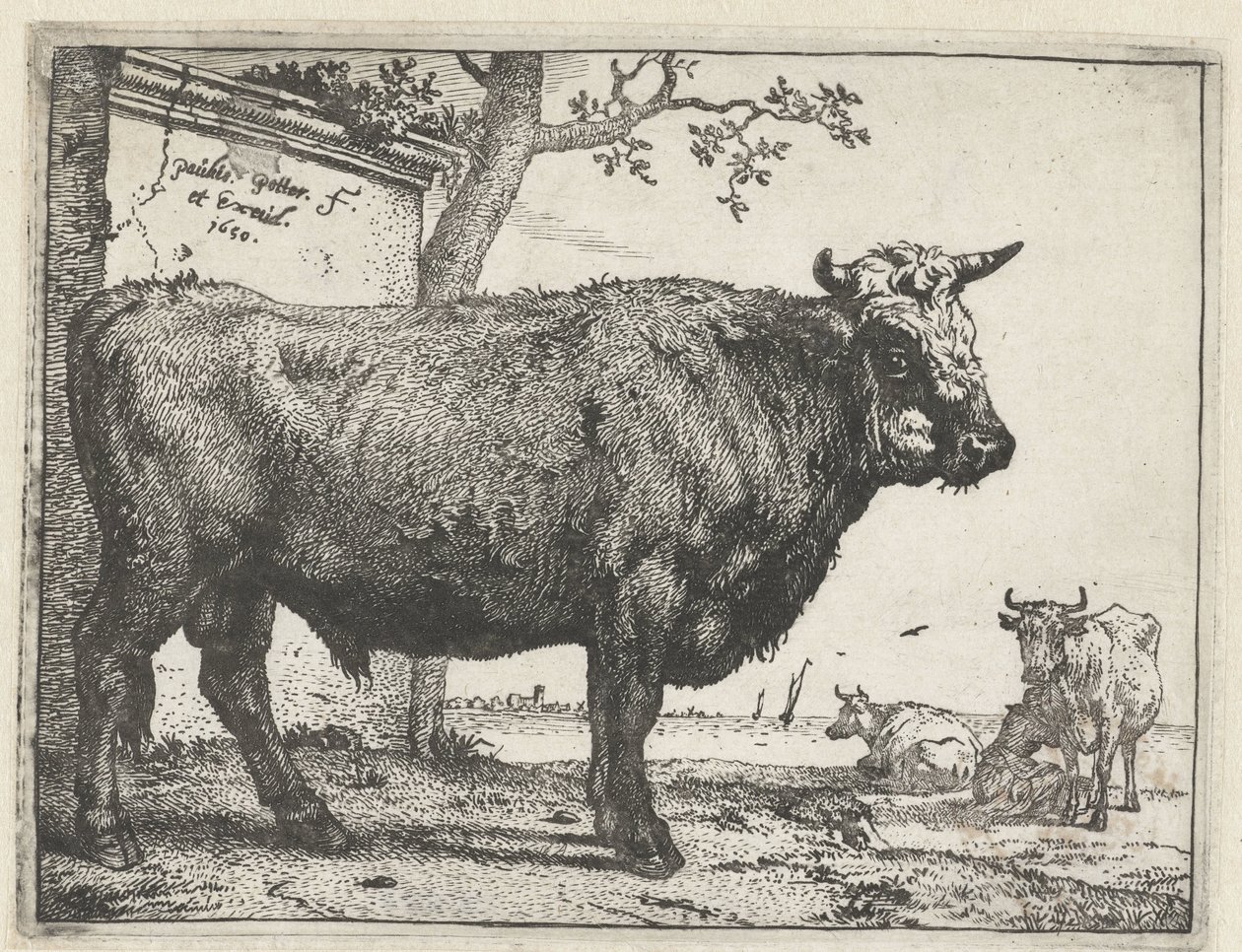 Tyren Bullen-heftet (serietittel) av Paulus Potter