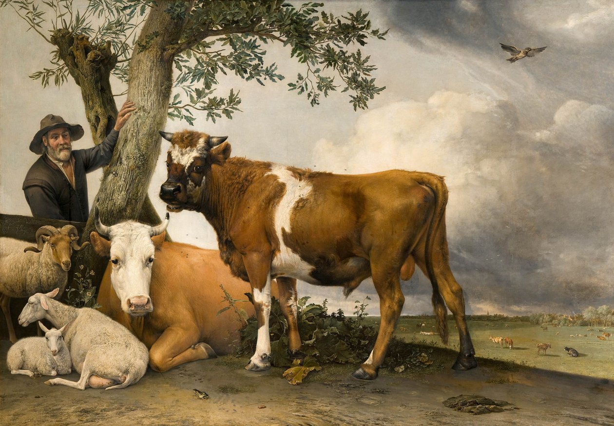 Oksen av Paulus Potter