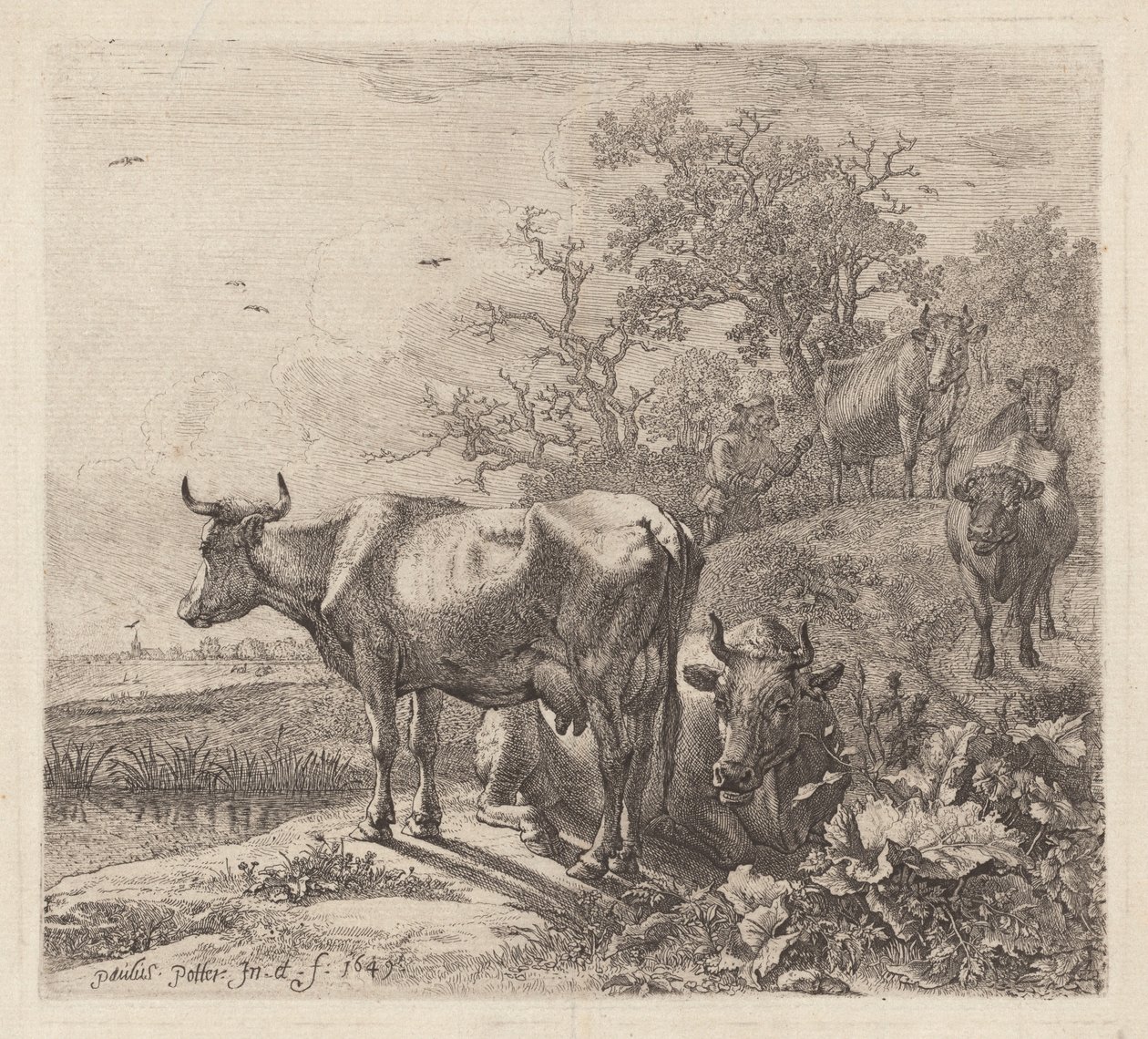 Kuherden av Paulus Potter