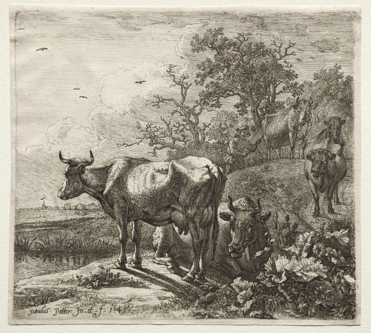 Kohyren av Paulus Potter