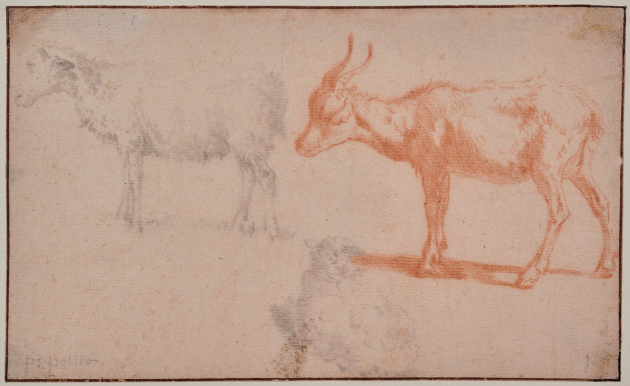 To sauer og en geit (dyrestudier) av Paulus Potter