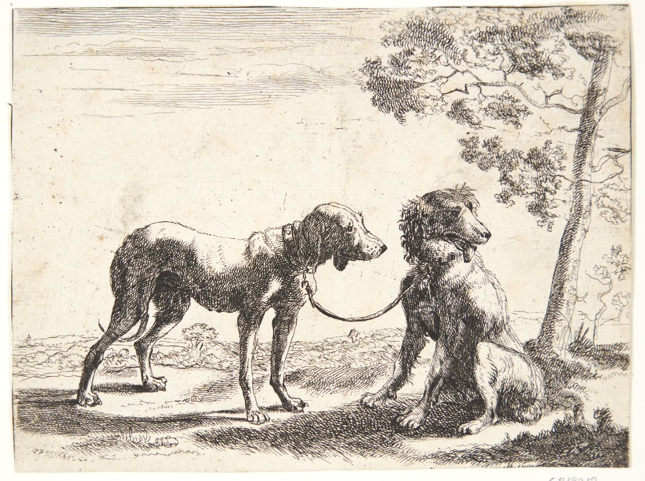 To hunder bundet sammen av Paulus van Hillegaert (II)