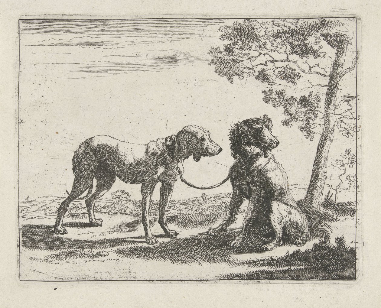 To hunder Hunder (serietittel) av Pauwels van Hillegaert