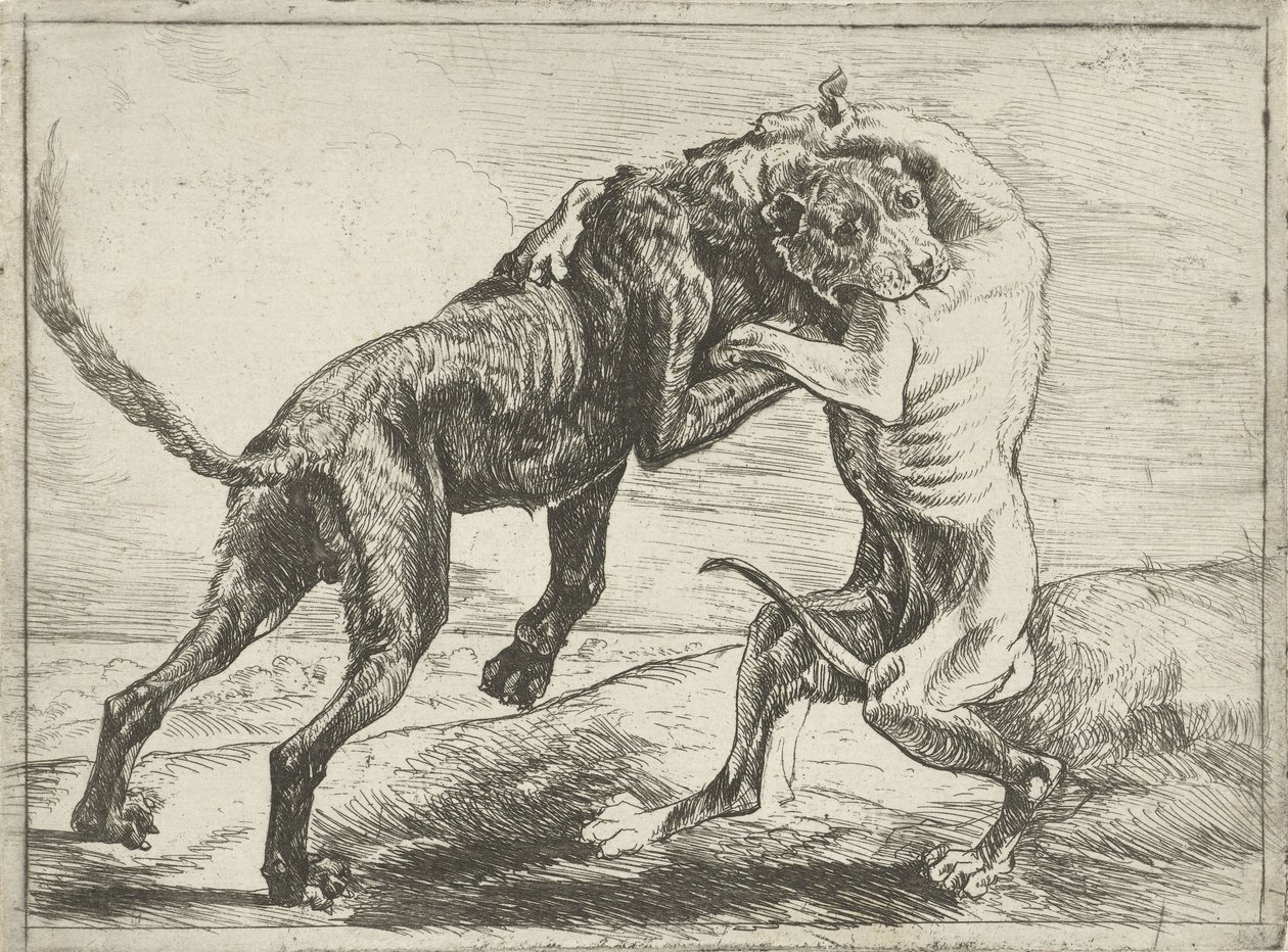 To kamphunder Hunder (serietittel) av Pauwels van Hillegaert