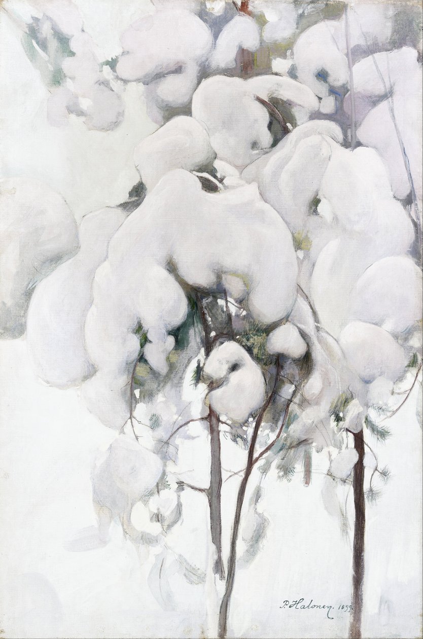 Snødekte furuplanter av Pekka Halonen