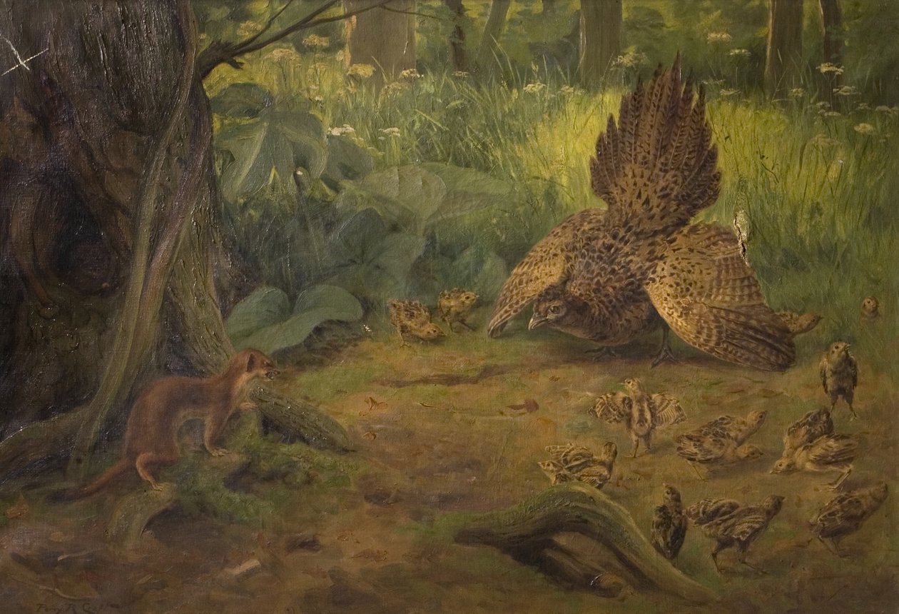 Defense not Defiance, tidlig på 1900-tallet av Percy Robert Craft