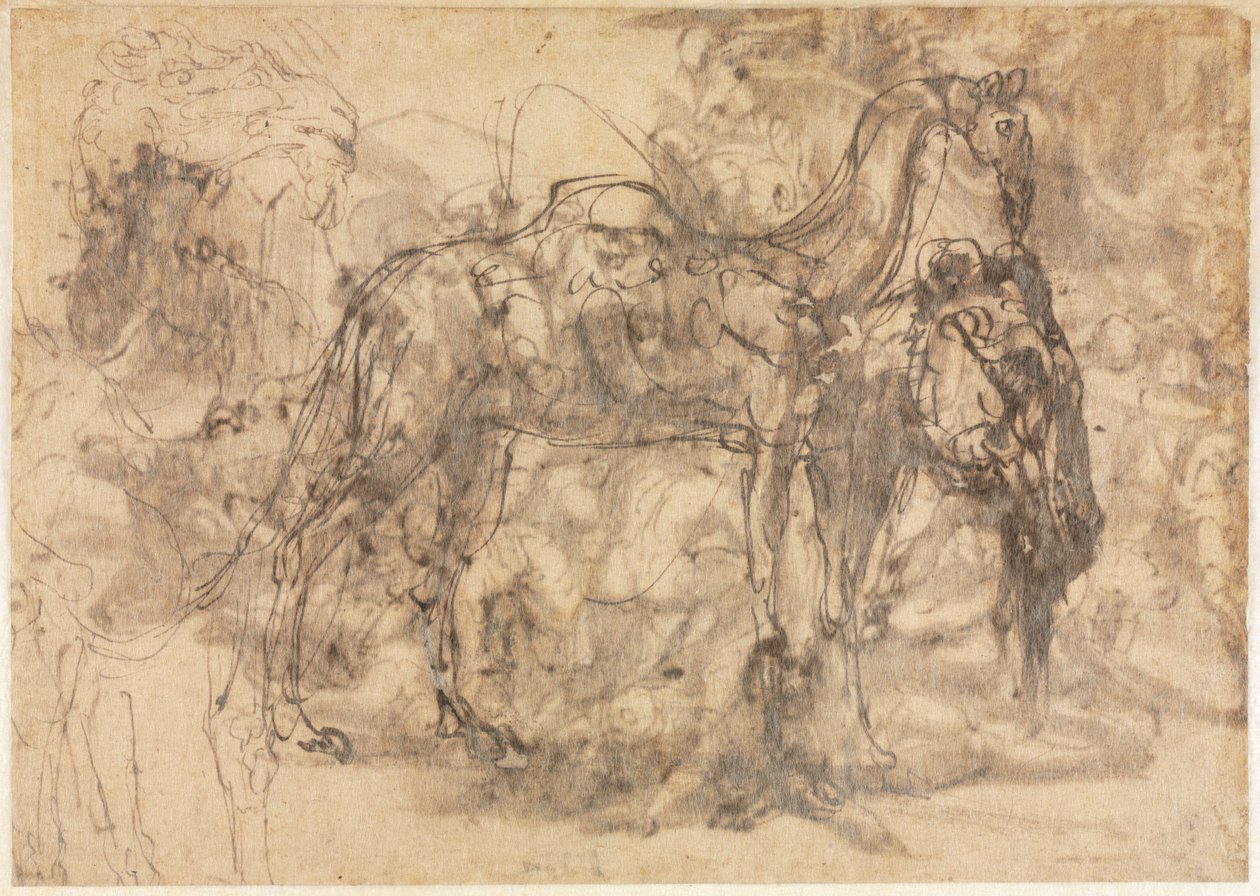 Skisser av dyr verso, ca. 154547. av Perino del Vaga