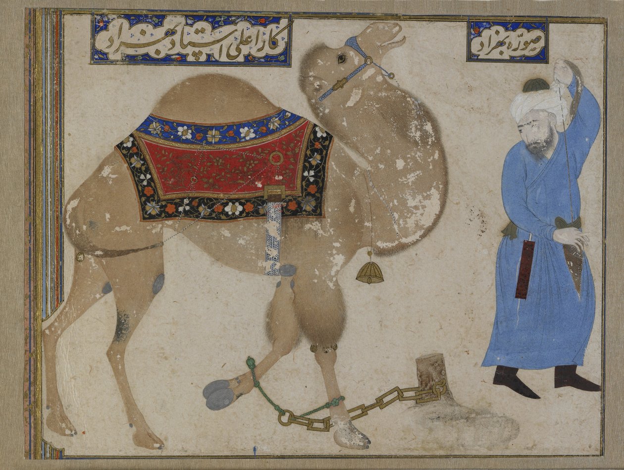 Fettered Camel and Keeper, Safavid Period av Persian School