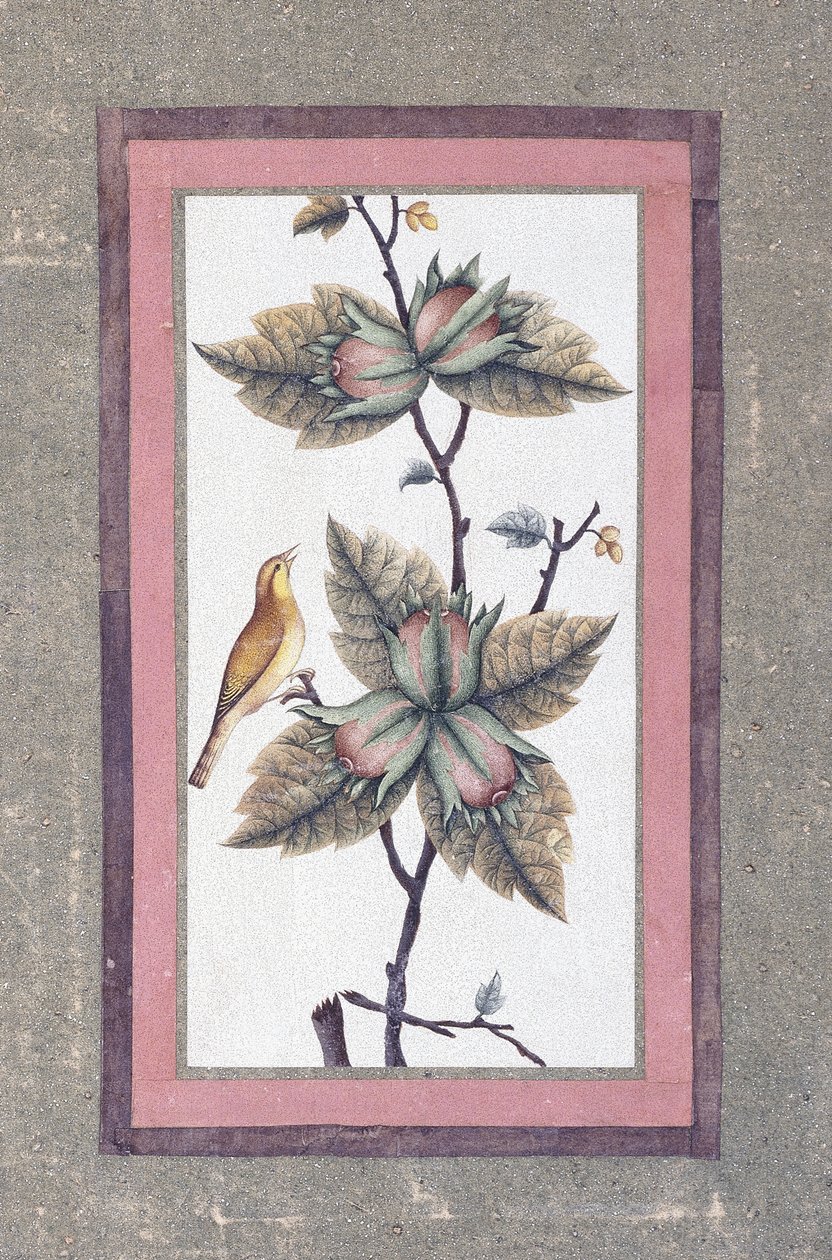 Fugle- og blomsterstudie, ca. 1780 av Persian School