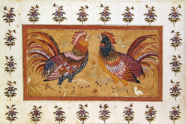 Cock Fight (gouache på papir) av Persian School