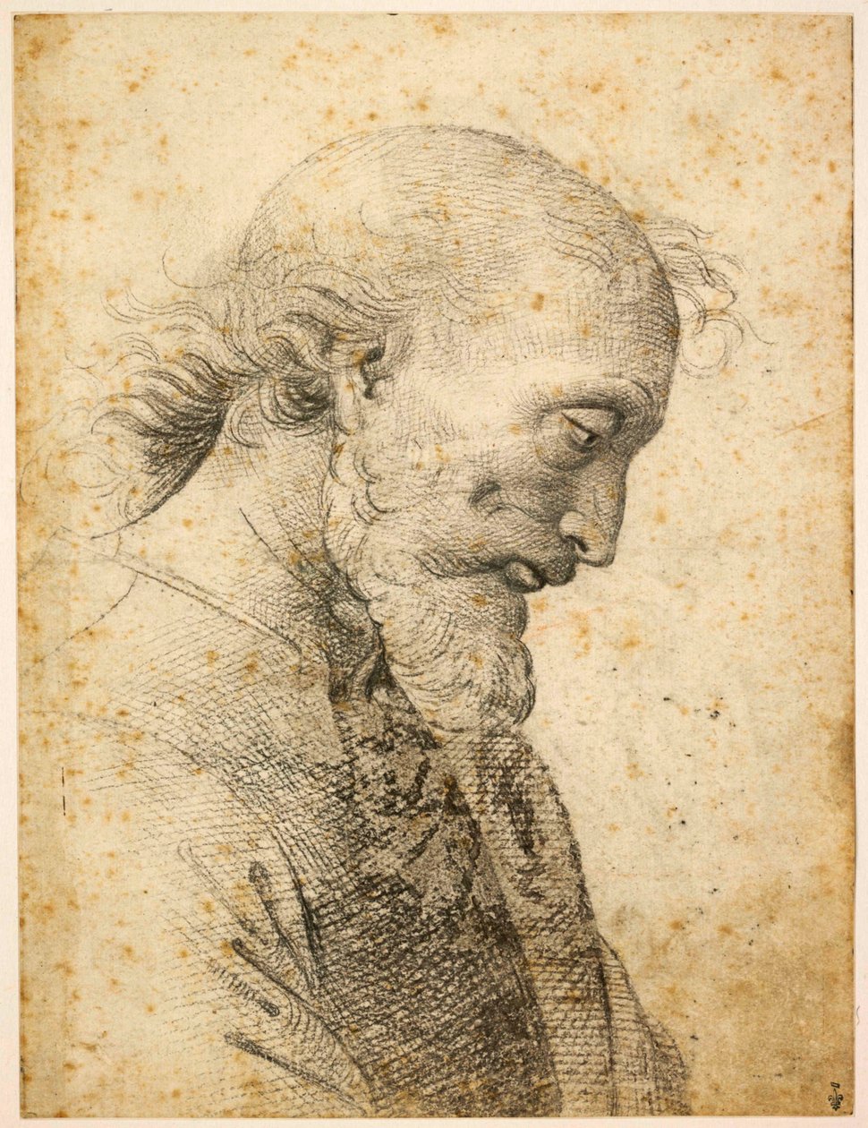 Byste av en mann, 1500-1503. av Perugino