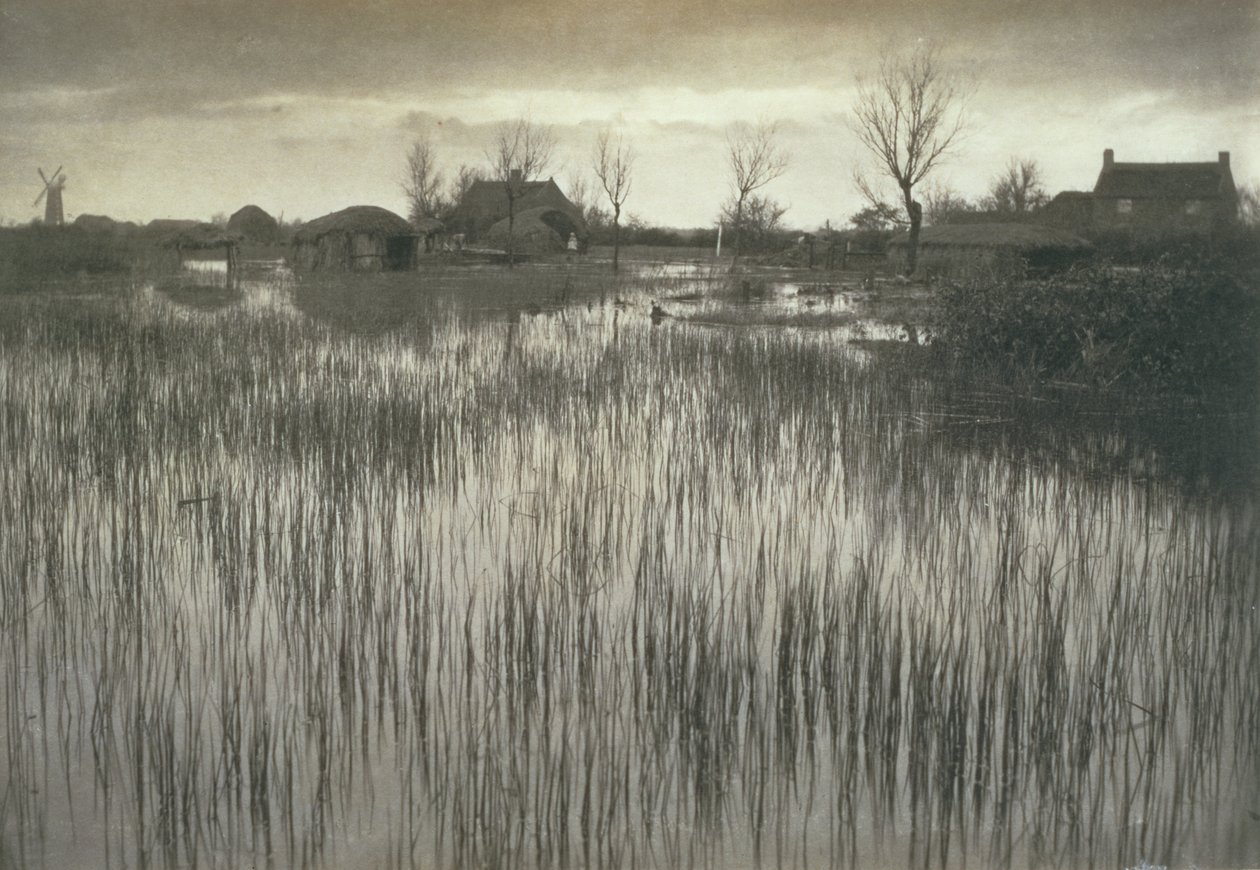 A Rushy Shore, Life and Landscape on the Norfolk Broads, ca. 1886 av Peter Emerson und Thomas Goodall